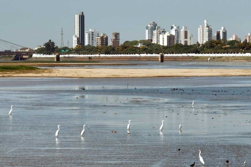 Rio Parana Altura 8 febrero