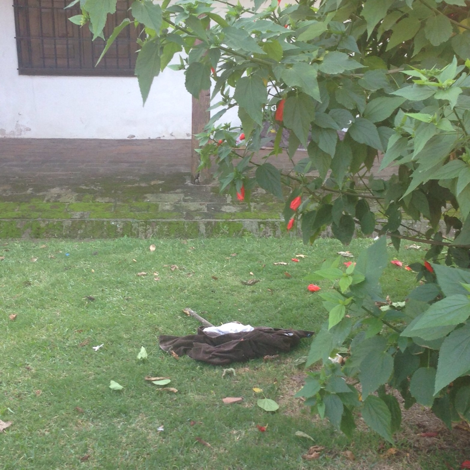 Rastros del descuido en el patio del Museo Histórico.