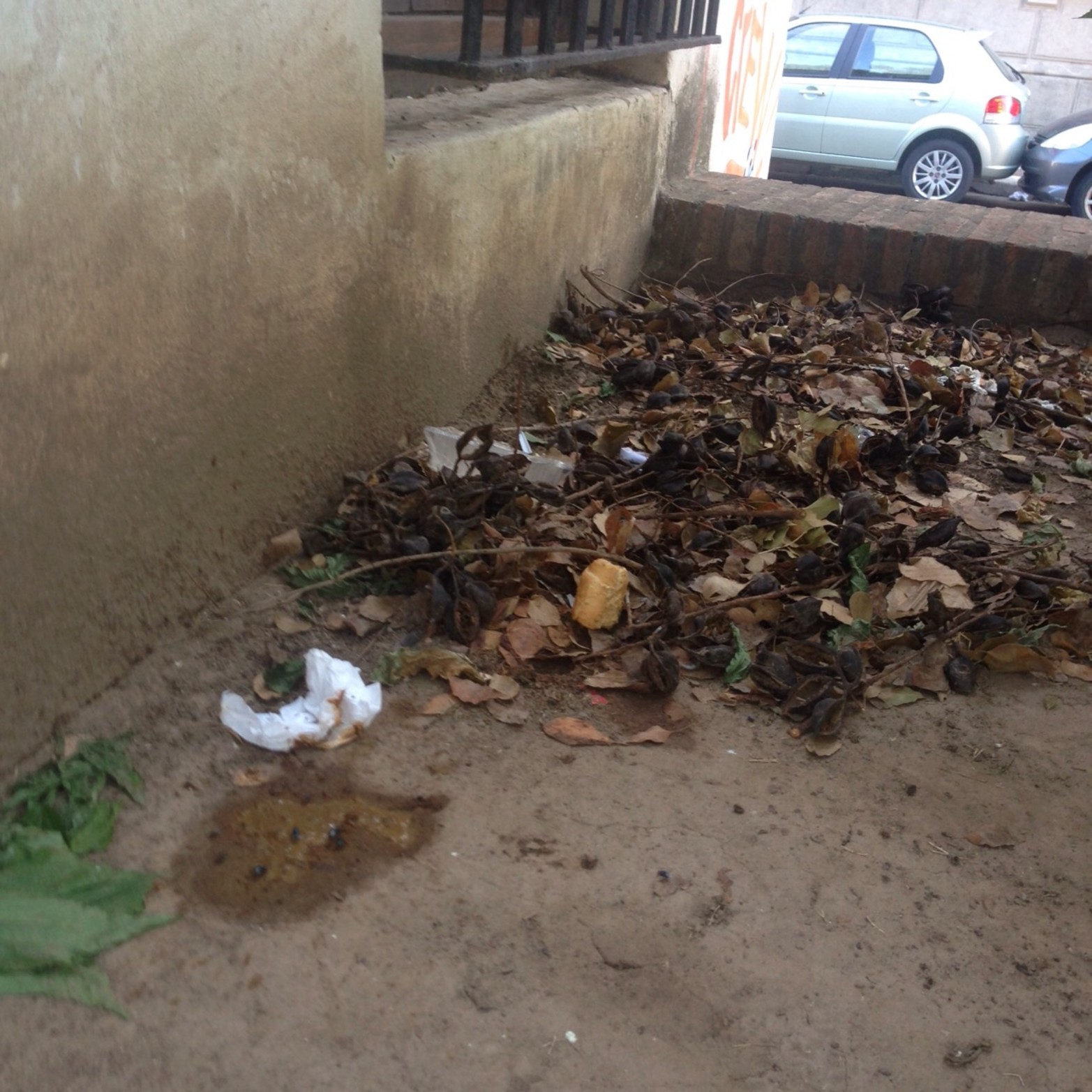 Excremento y basura en una galería del museo.