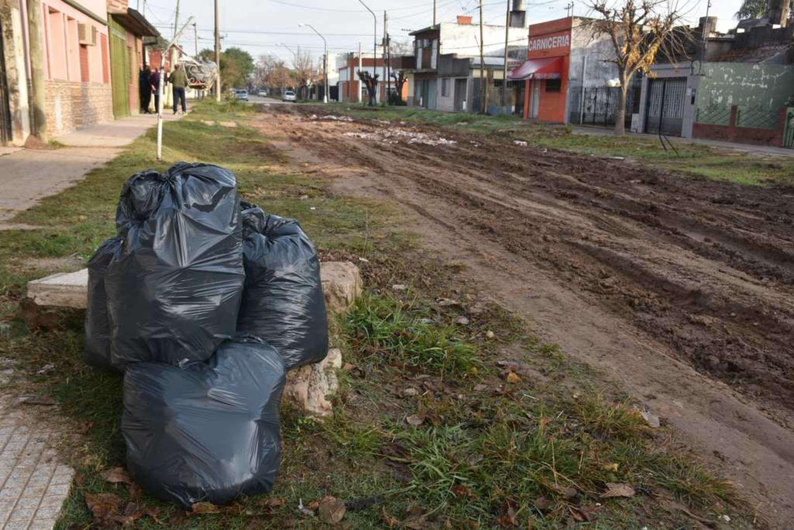 El recolector... de basura no pasa o si o hace rompe aún mas la precariedad de la calle