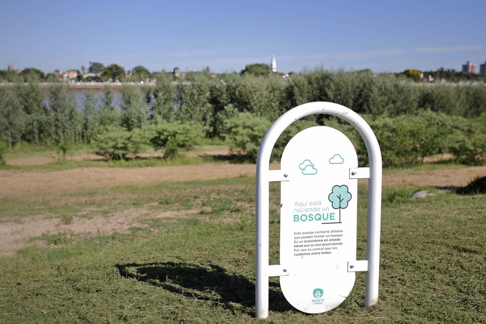 Bosque. El cartel colocado por la Municipalidad dice: "Este paisaje contiene árboles que pueden formar un bosque. Es un ecosistema en estado inicial que se está desarrollando. Por eso es central que lo cuidemos entre todos".