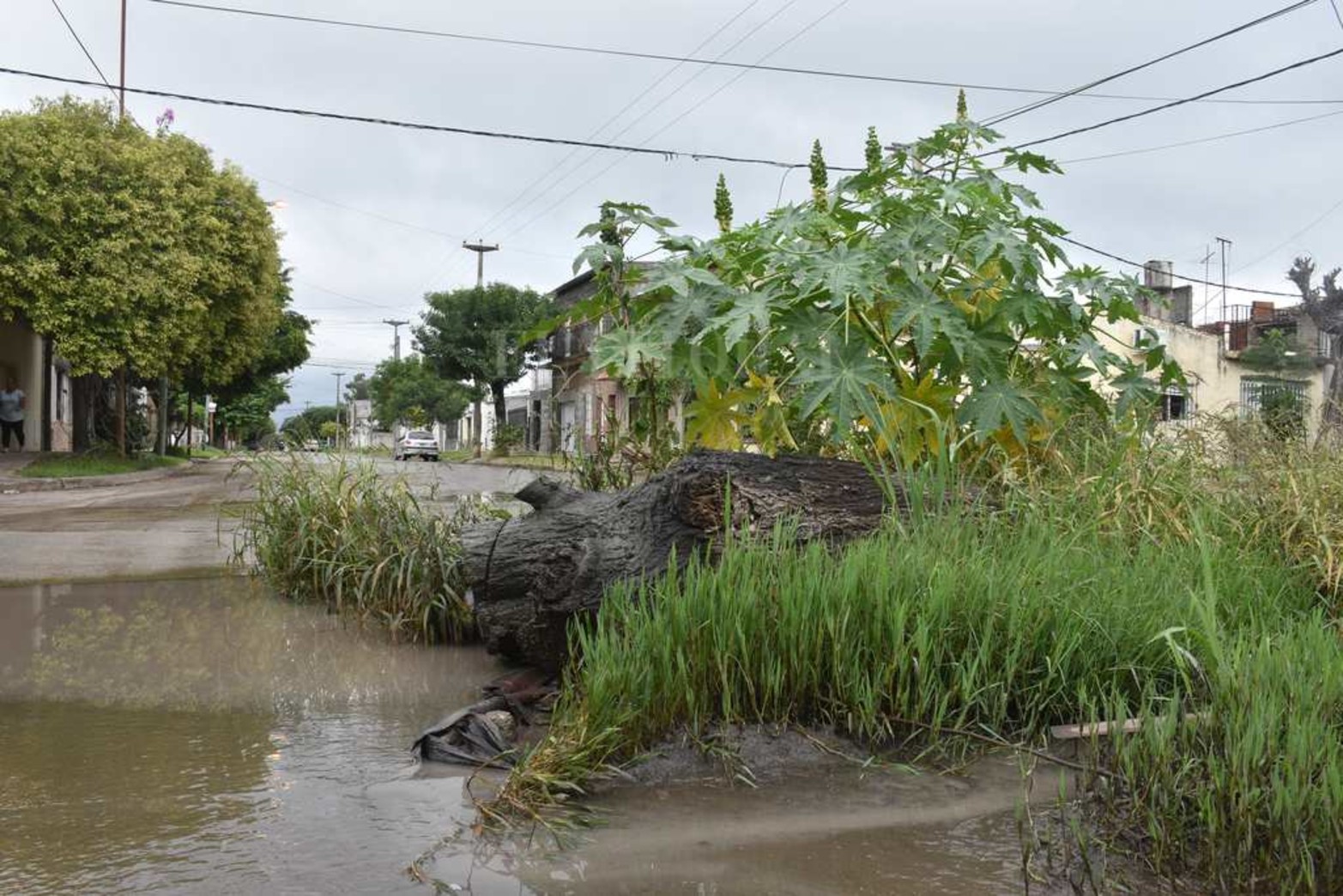 En Freyre y Lavaisse al medio de la calle un pozo que con el tiempo se "transformó" en rotonda.