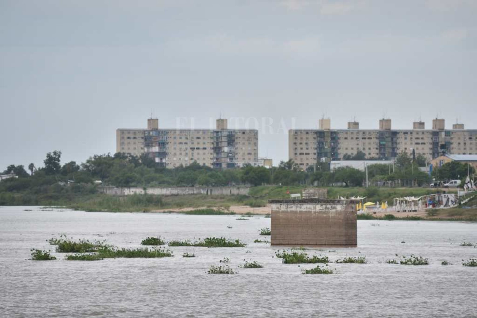 Creció el río y aparecieron los camalotes. Luego de la prolongada bajante (el 21 de mayo de 2020 marcó 48 centímetros) la fisonomía de la laguna Setúbal comenzó a cambiar. Además de ser notable el cambio en la altura del agua, miles de plantas pasan por debajo del puente Colgante. Un atractivo que la bajante se había encargado de borrar.