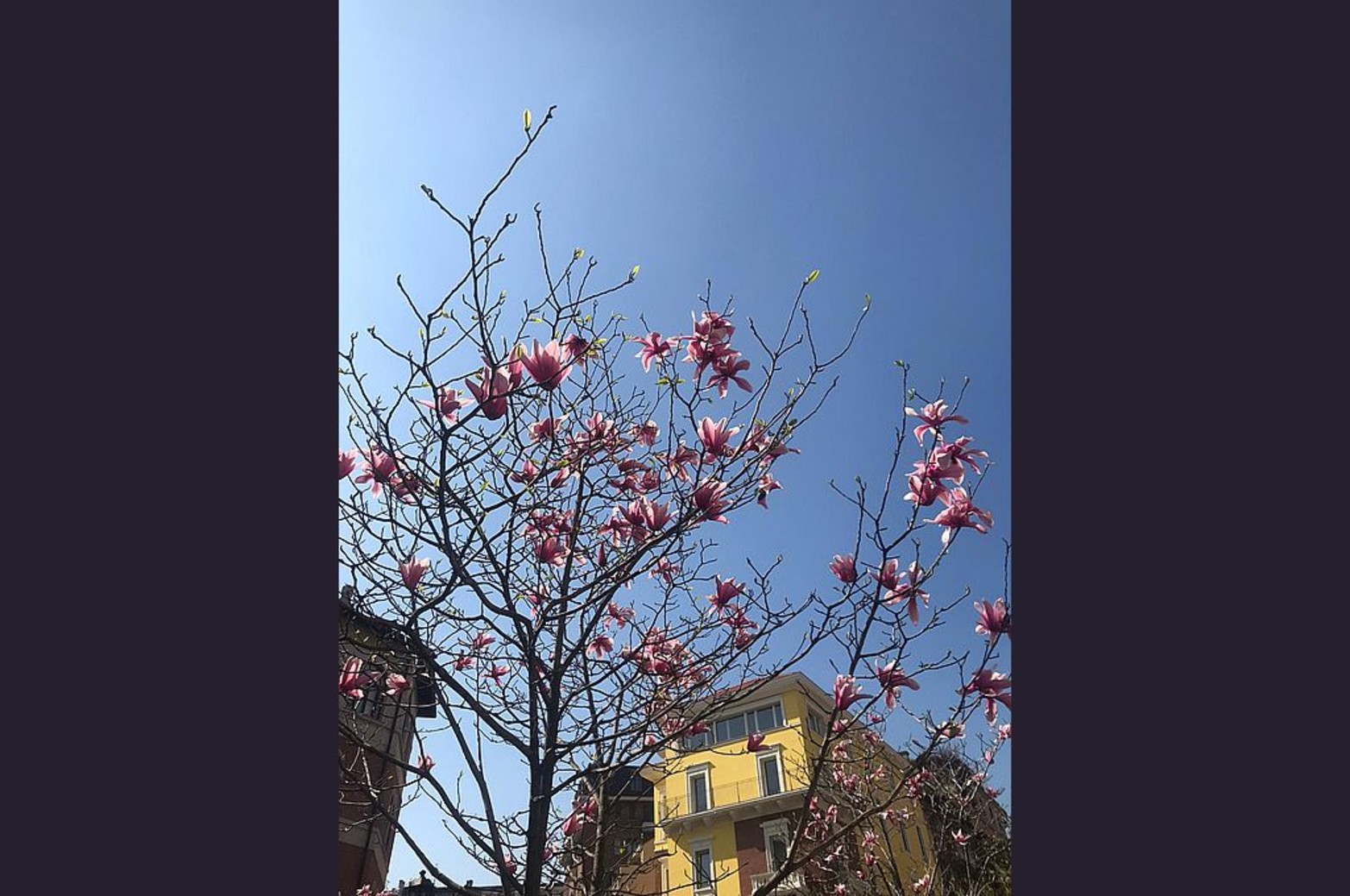 "Podrán cortar todas las flores, pero no podrán detener la primavera", dice Mercedes, a horas de que termine el invierno europeo.