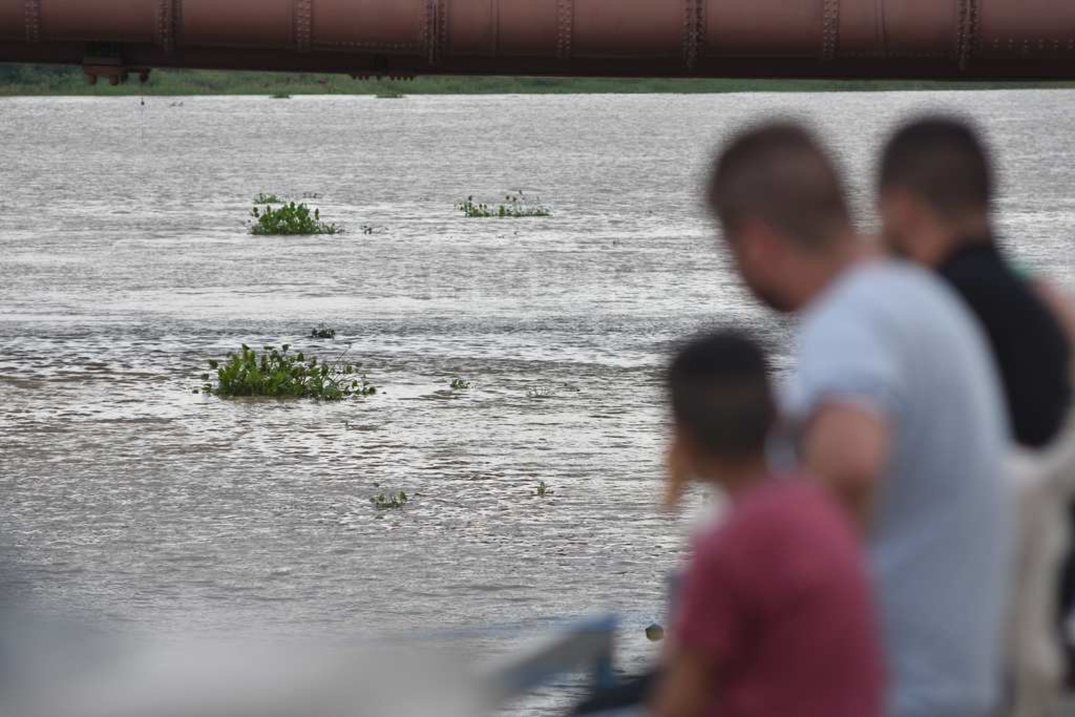 Creció el río y aparecieron los camalotes. Luego de la prolongada bajante (el 21 de mayo de 2020 marcó 48 centímetros) la fisonomía de la laguna Setúbal comenzó a cambiar. Además de ser notable el cambio en la altura del agua, miles de plantas pasan por debajo del puente Colgante. Un atractivo que la bajante se había encargado de borrar.