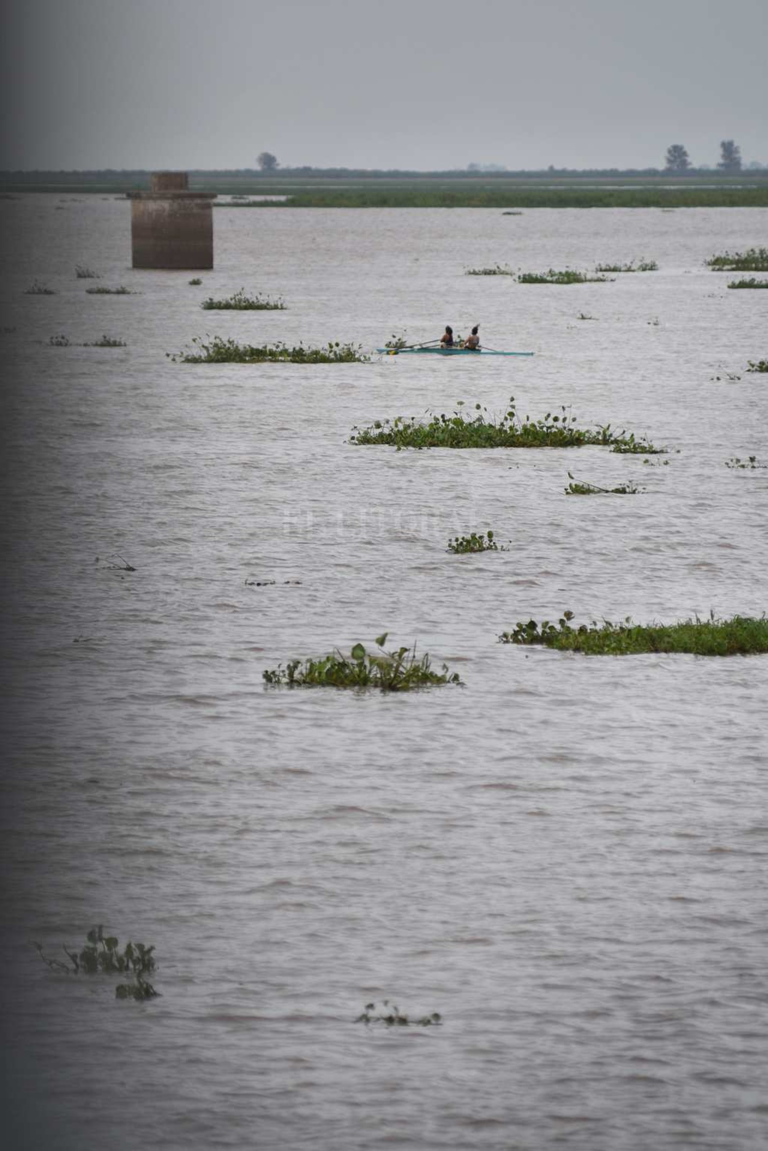 Creció el río y aparecieron los camalotes. Luego de la prolongada bajante (el 21 de mayo de 2020 marcó 48 centímetros) la fisonomía de la laguna Setúbal comenzó a cambiar. Además de ser notable el cambio en la altura del agua, miles de plantas pasan por debajo del puente Colgante. Un atractivo que la bajante se había encargado de borrar.