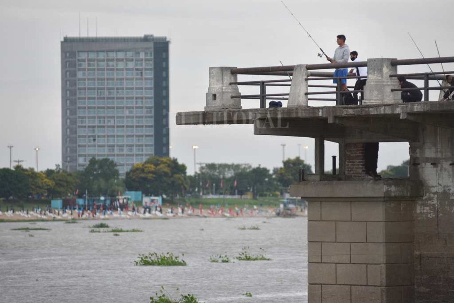 Creció el río y aparecieron los camalotes. Luego de la prolongada bajante (el 21 de mayo de 2020 marcó 48 centímetros) la fisonomía de la laguna Setúbal comenzó a cambiar. Además de ser notable el cambio en la altura del agua, miles de plantas pasan por debajo del puente Colgante. Un atractivo que la bajante se había encargado de borrar.