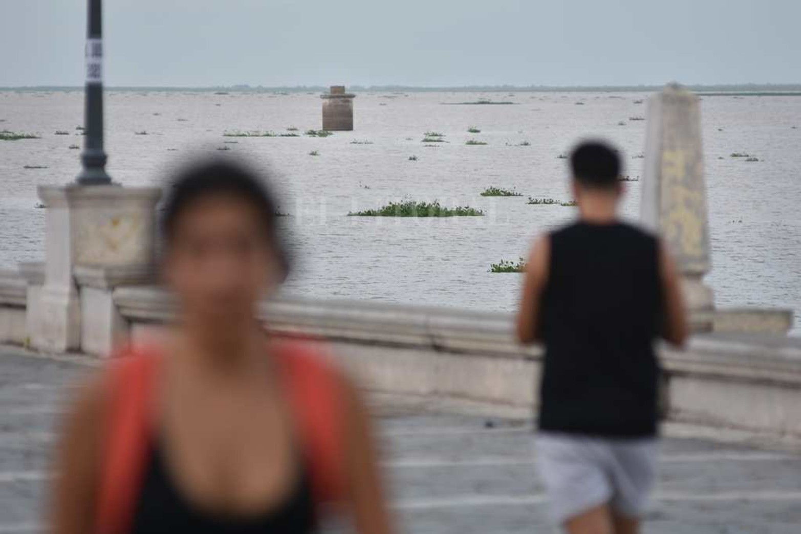 Creció el río y aparecieron los camalotes. Luego de la prolongada bajante (el 21 de mayo de 2020 marcó 48 centímetros) la fisonomía de la laguna Setúbal comenzó a cambiar. Además de ser notable el cambio en la altura del agua, miles de plantas pasan por debajo del puente Colgante. Un atractivo que la bajante se había encargado de borrar.