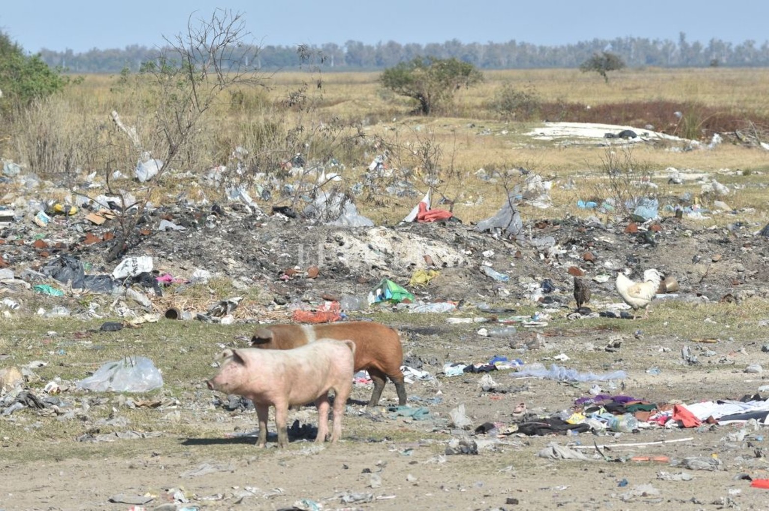 En el ejido de Arroyo Leyes, la comuna tira la basura en el valle de inundación de la laguna Setúbal.