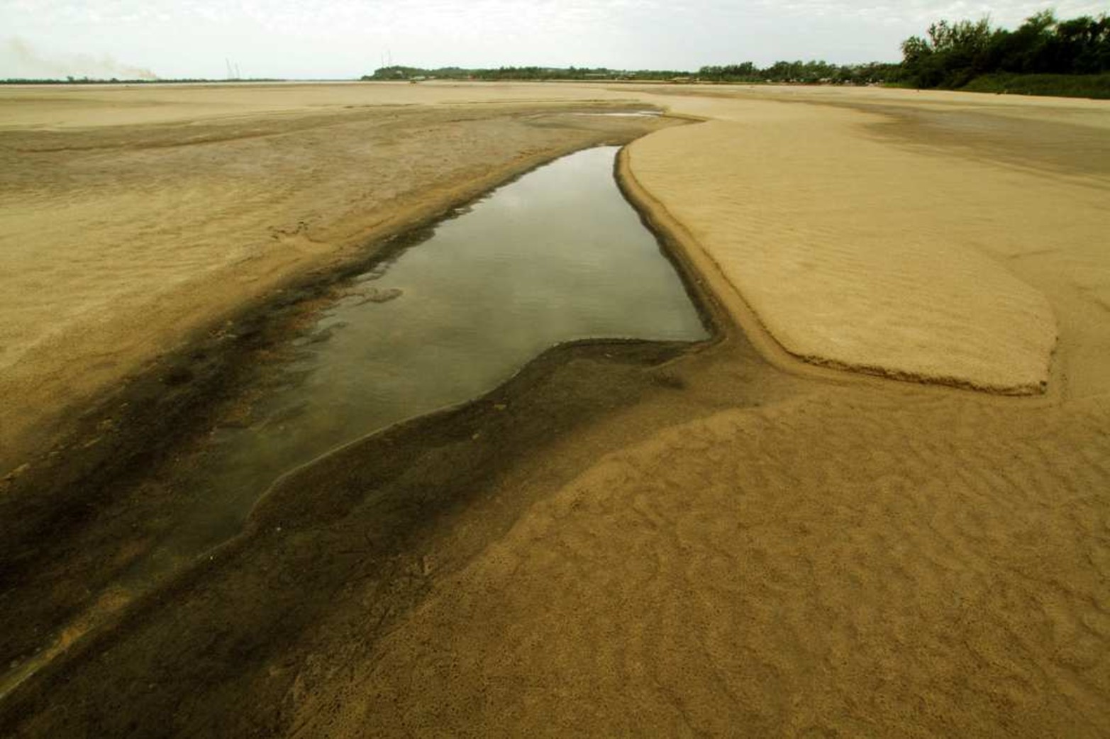 Las líneas curvas que se forman en la arena.