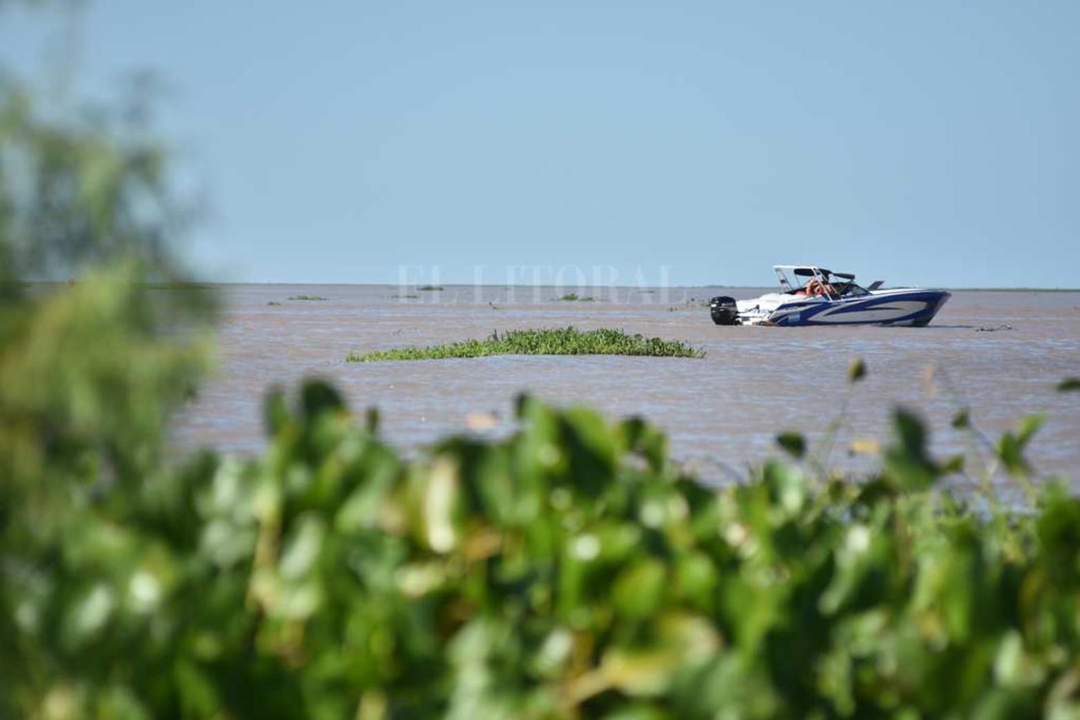 Creció el río y aparecieron los camalotes. Luego de la prolongada bajante (el 21 de mayo de 2020 marcó 48 centímetros) la fisonomía de la laguna Setúbal comenzó a cambiar. Además de ser notable el cambio en la altura del agua, miles de plantas pasan por debajo del puente Colgante. Un atractivo que la bajante se había encargado de borrar.