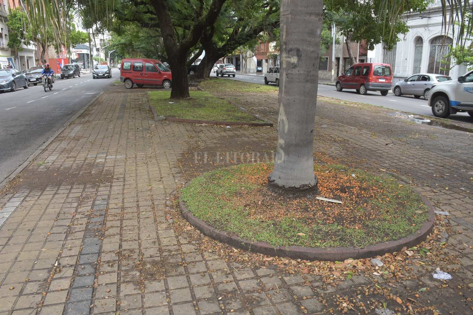 Toda la zona desentona con el resto del paseo que es muy utilizado a diario por caminantes y runners.