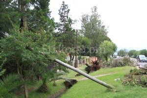 ELLITORAL_65914 |  Luis Cetraro Cuidado. En la Costa, hay cientos de reclamos por árboles y postes caídos.