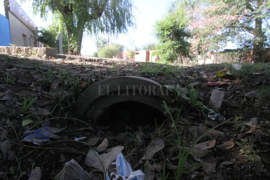 ELLITORAL_178015 |  Mauricio Garín Obstruida. Una alcantarilla de calle Carranza estaba prácticamente tapada de barro y basura. En las veredas conviven con el agua servida. También tienen dificultades con la recolección de residuos domiciliarios, según apuntaron los vecinos.