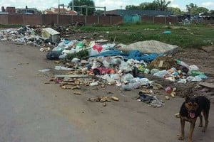 ELLITORAL_174828 |  Periodismo Ciudadano Peligro infeccioso. Sobre Av. Freyre se generó un basural a cielo abierto debido a un asentamiento de gente, advirtieron los vecinos consultados.