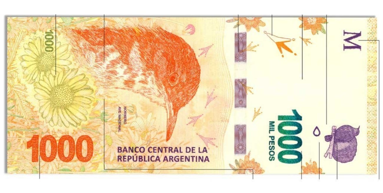 billetes argentinos para imprimir tamaño real - Buscar con Google