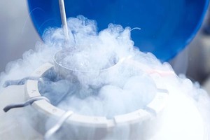 ELLITORAL_200110 |  Clínica UEG (Barcelona, España). Congelados. Los embriones están vitrificados en nitrógeno líquido, a 196 grados bajo cero.