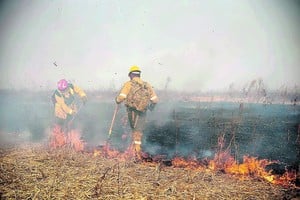 ELLITORAL_321154 |  Marcelo Manera Los bomberos intervienen en la zona de islas y en las periferias de las ciudades..