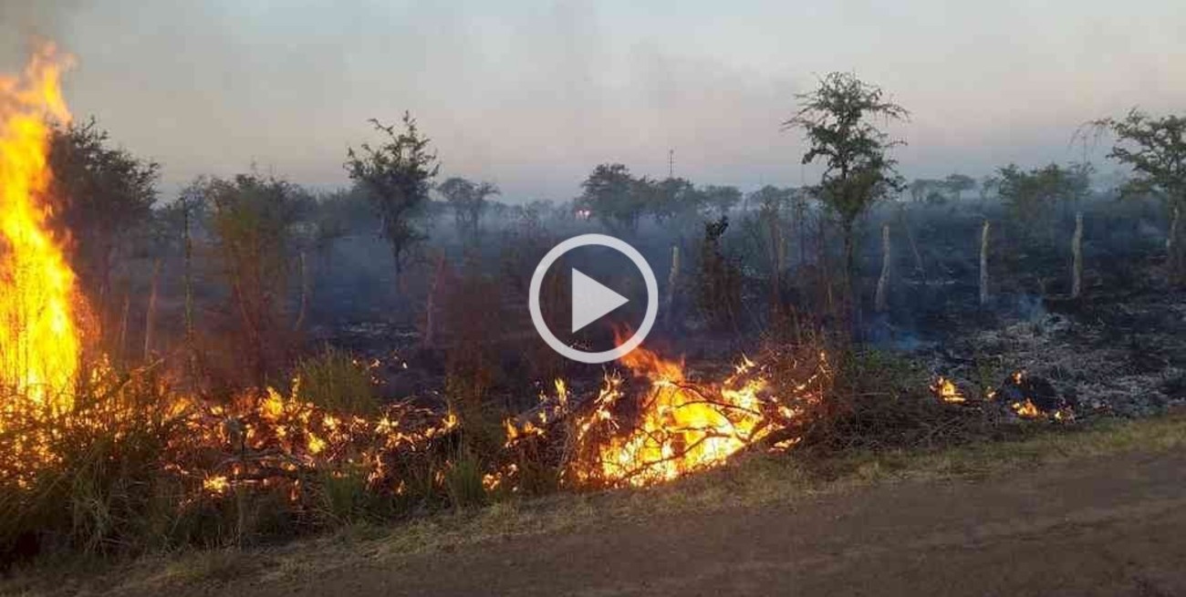 Video: impactantes imágenes de Corrientes diezmada por el fuego 