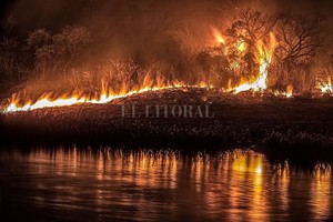 ELLITORAL_435154 |   Fuego en las islas. Los humedales del mundo y del país están desapareciendo a pasos agigantados por el incumplimiento de toda la normativa existente y la falta de celo del Estado.