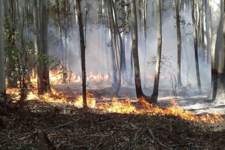 ELLITORAL_440221 |  Archivo El cambio climático está haciendo que el calor extremo, las lluvias torrenciales, las sequías y los incendios sean más intensos y frecuentes, advierte el nuevo documento del IPCC.