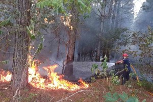 ELLITORAL_439488 |  Imagen Ilustrativa Incendios en la provincia de Misiones.