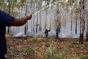 ELLITORAL_439768 |  Imagen Ilustrativa Los incendios alcanzaron al Parque Nacional Iberá, Corrientes.