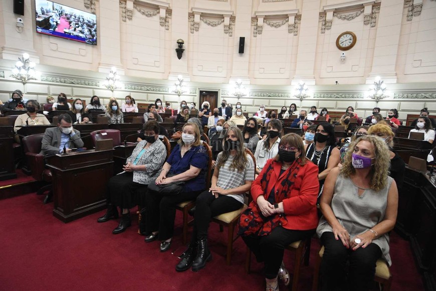 Cámara de Diputados: homenaje a mujeres santafesinas