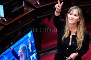 ELLITORAL_446776 |  Gentileza La senadora Nacional por el Frente de Todos (FdT), Juliana Di Tullio