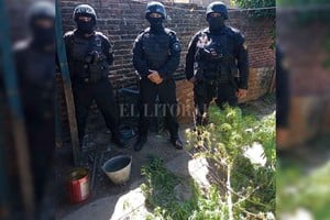 ELLITORAL_445066 |  El Litoral Las plantas estaban en el patio de una vivienda de Pasaje Santa Fe al 5900.