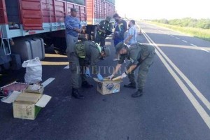 ELLITORAL_441925 |  Gentileza El operativo, realizado el 18 de diciembre de 2020, estuvo a cargo de Gendarmería Nacional, que interrumpió la marcha del camión a la altura de Gato Colorado.