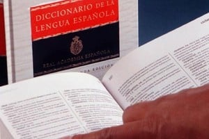 Todos los términos se encuentran en el Diccionario de la Lengua Española.