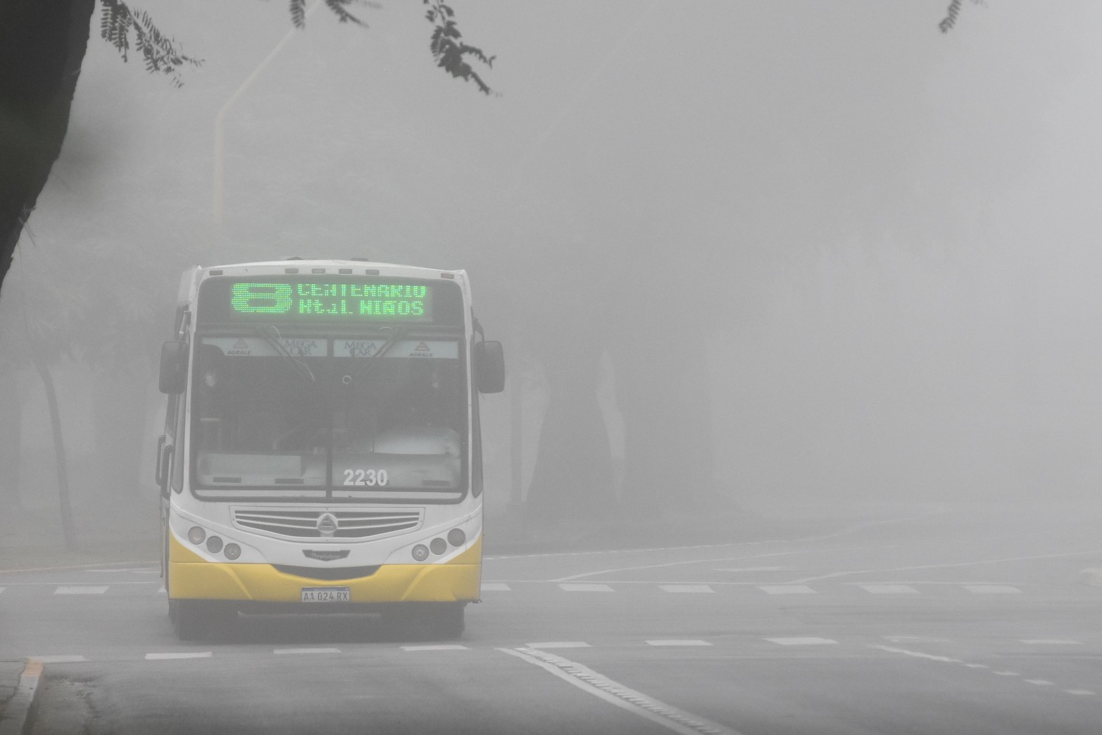 Visibilidad reducida por neblina en Santa Fe y la región. Foto Flavio Raina