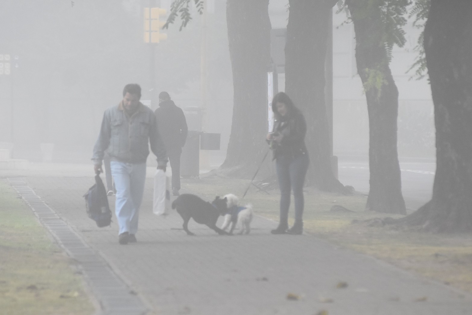 Visibilidad reducida por neblina en Santa Fe y la región. Foto Flavio Raina