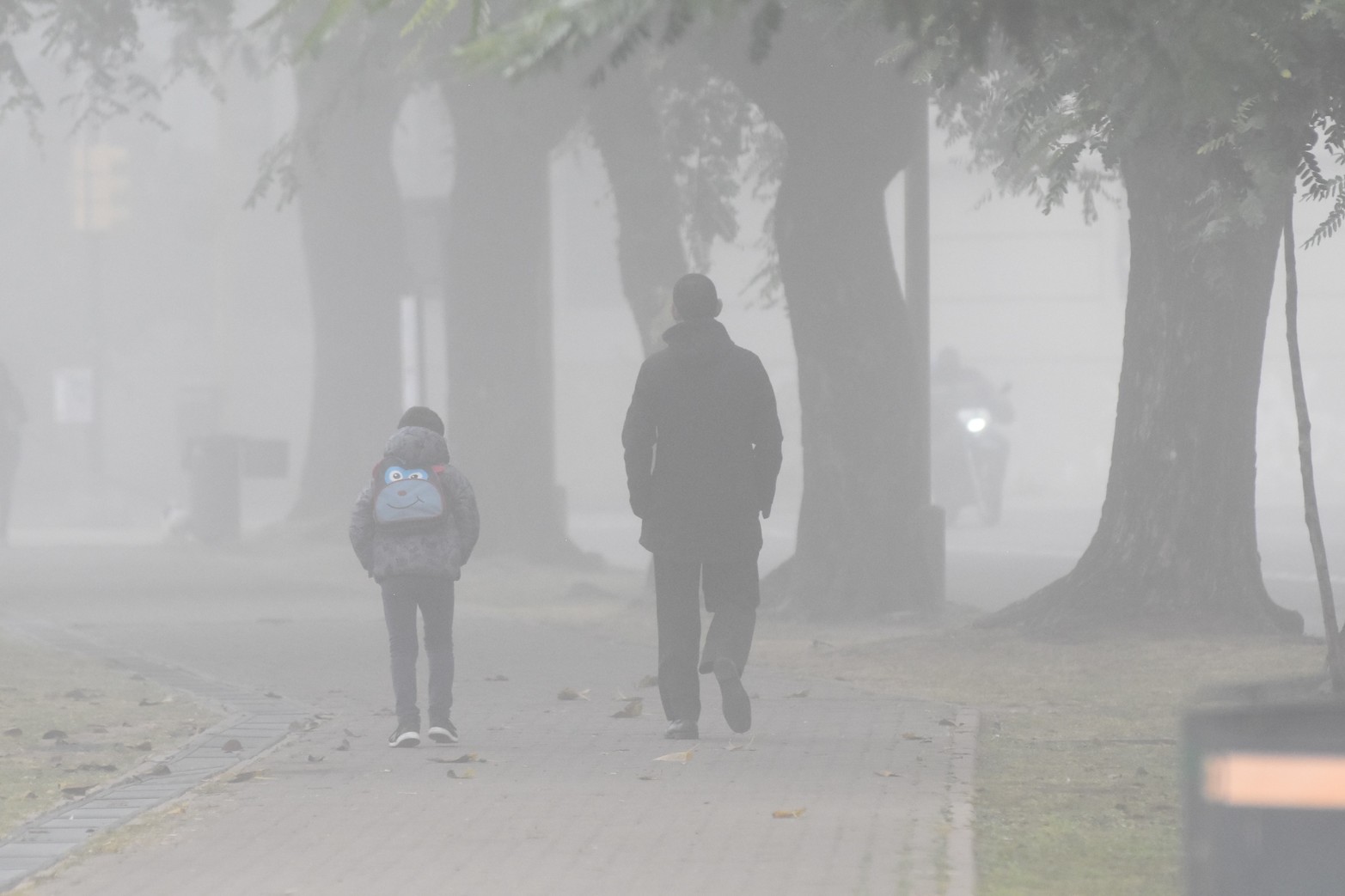 Visibilidad reducida por neblina en Santa Fe y la región. Foto Flavio Raina