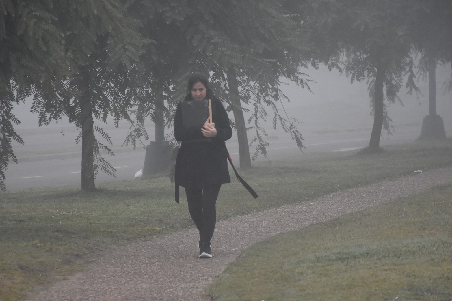 Visibilidad reducida por neblina en Santa Fe y la región.Foto Flavio Raina