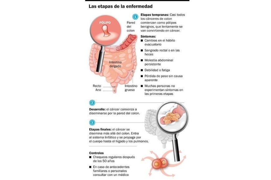 Créditos: Gentileza