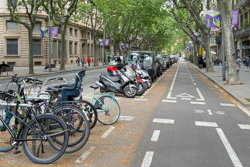 Las supermanzanas apuntan a generar mayor espacio verde y a contribuir a una forma de traslado más saludable dentro de la ciudad.  Crédito: Gentileza