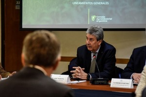 José Martins, titular del CAA, durante la reunión de comisiones, plateó que la ley  "va a generar oportunidades en cada provincia".