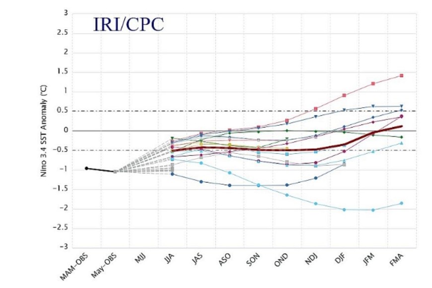 Proyecciones de temperatura del mar