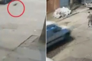 El momento en el que la camioneta atropelló al ladrón