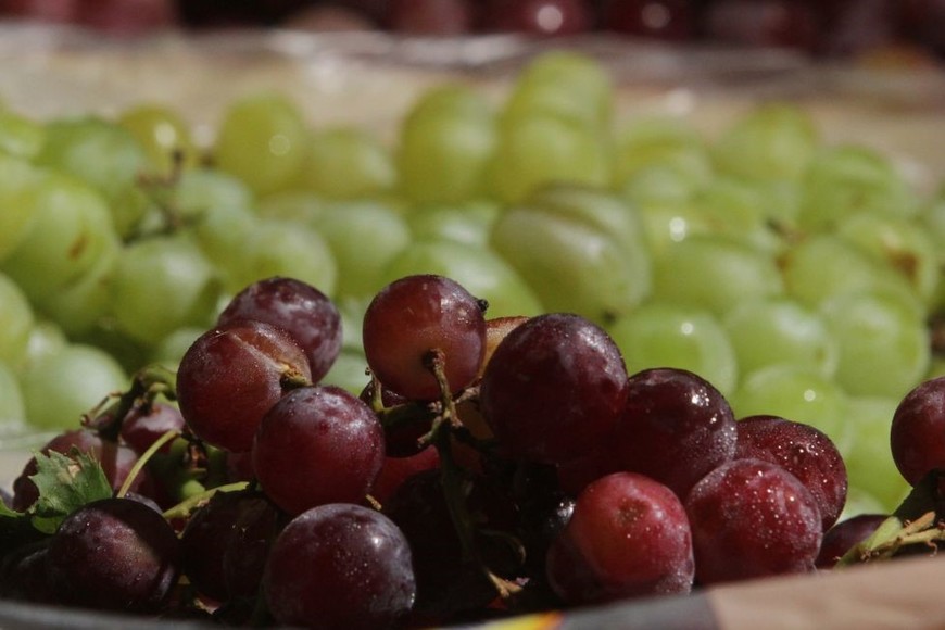 Las uvas son unas de las frutas de contraestación que se importan. Crédito: Archivo El Litoral / Mauricio Garín