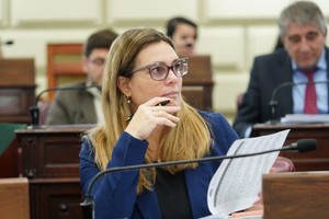 Diputada provincial del Bloque UCR Evolución, Silvana Di Stefano