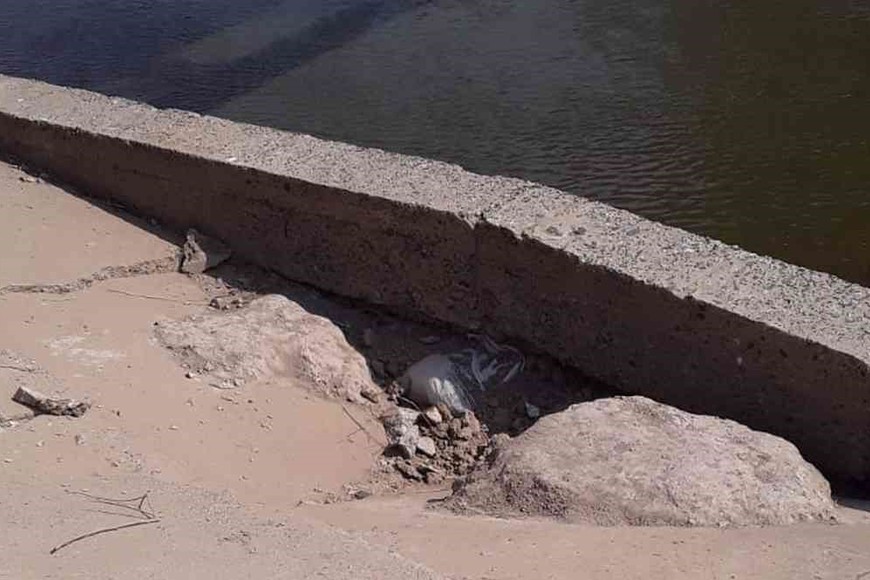 El presidente comunal de Cululú Carlos Schnell explicó que continúan trabajando y gestionando sobre el avance de esta obra que es de vital importancia para la conexión de la localidad con la región. Foto: Comuna de Culúlu