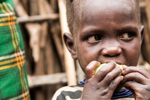 En el marco de la Asamblea de la ONU las organizaciones piden que se actue para detener la crisis mundial del hambre.
