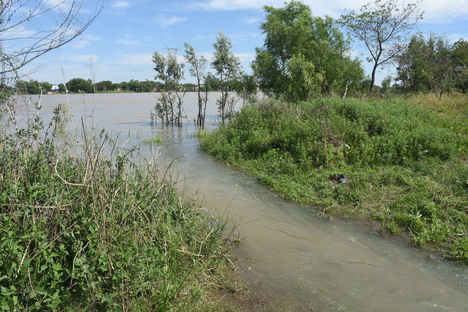 Con el repunte del río Paraná, las lagunas del valle de inundación comenzaron a tener agua nuevamente. Foto Mauricio Garín