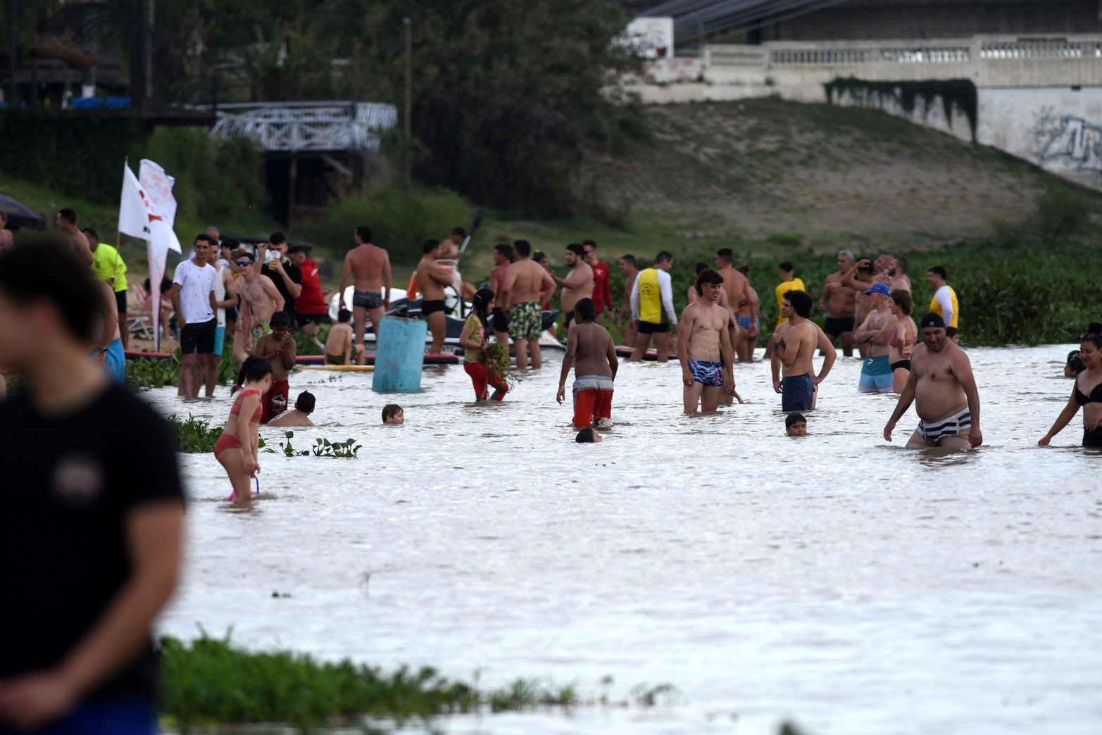 Entre camalotes. Los bañistas, sin playa habilitadas, se meten igual al agua. Foto Mauricio Garín