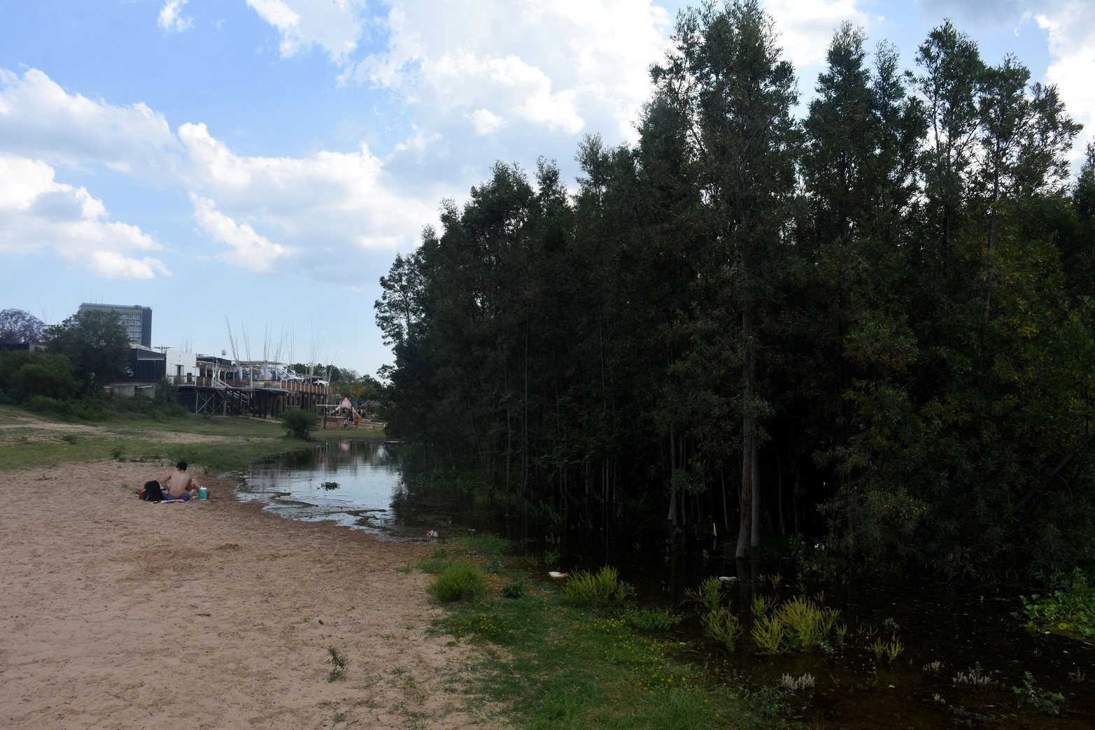 El bosque nativo que creció con la prolongada bajante, hoy convive con la arena. Hay advertencia del peligro con la víboras. Foto Mauricio Garín 