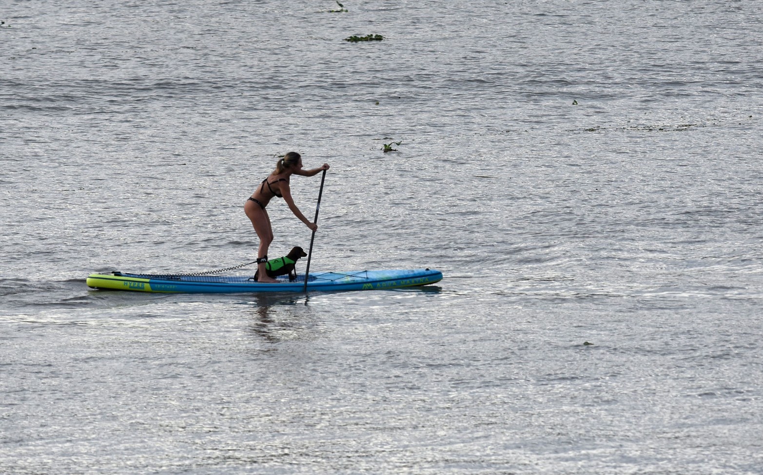 Stand up paddle. Una nueva disciplina que suma la laguna Setúbal.  Foto Mauricio Garín