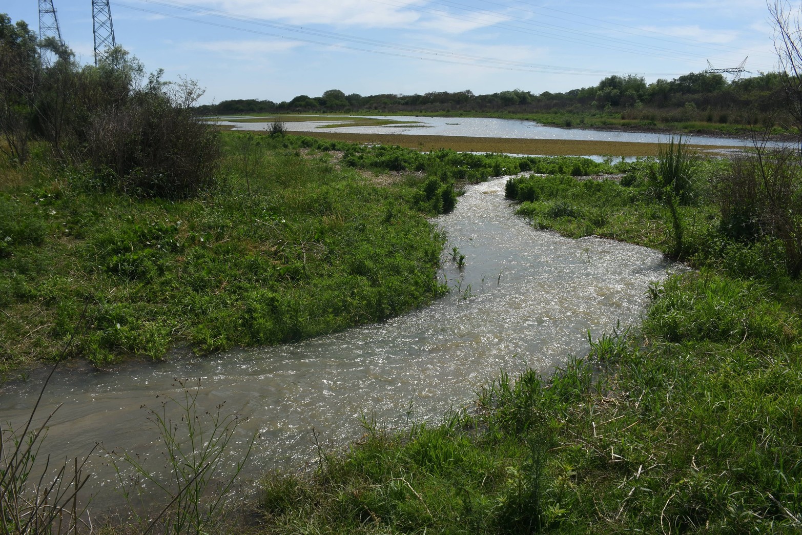 Comienzan a llenarse las lagunas. El valle de inundación del río Paraná con el repunte comenzó a generar una imágen que hacía más de dos años no sucedía. Las lluvias en la cuenca alta del Paraná hicieron que el río supere los 3 metros en el puerto local.  Mauricio Garín